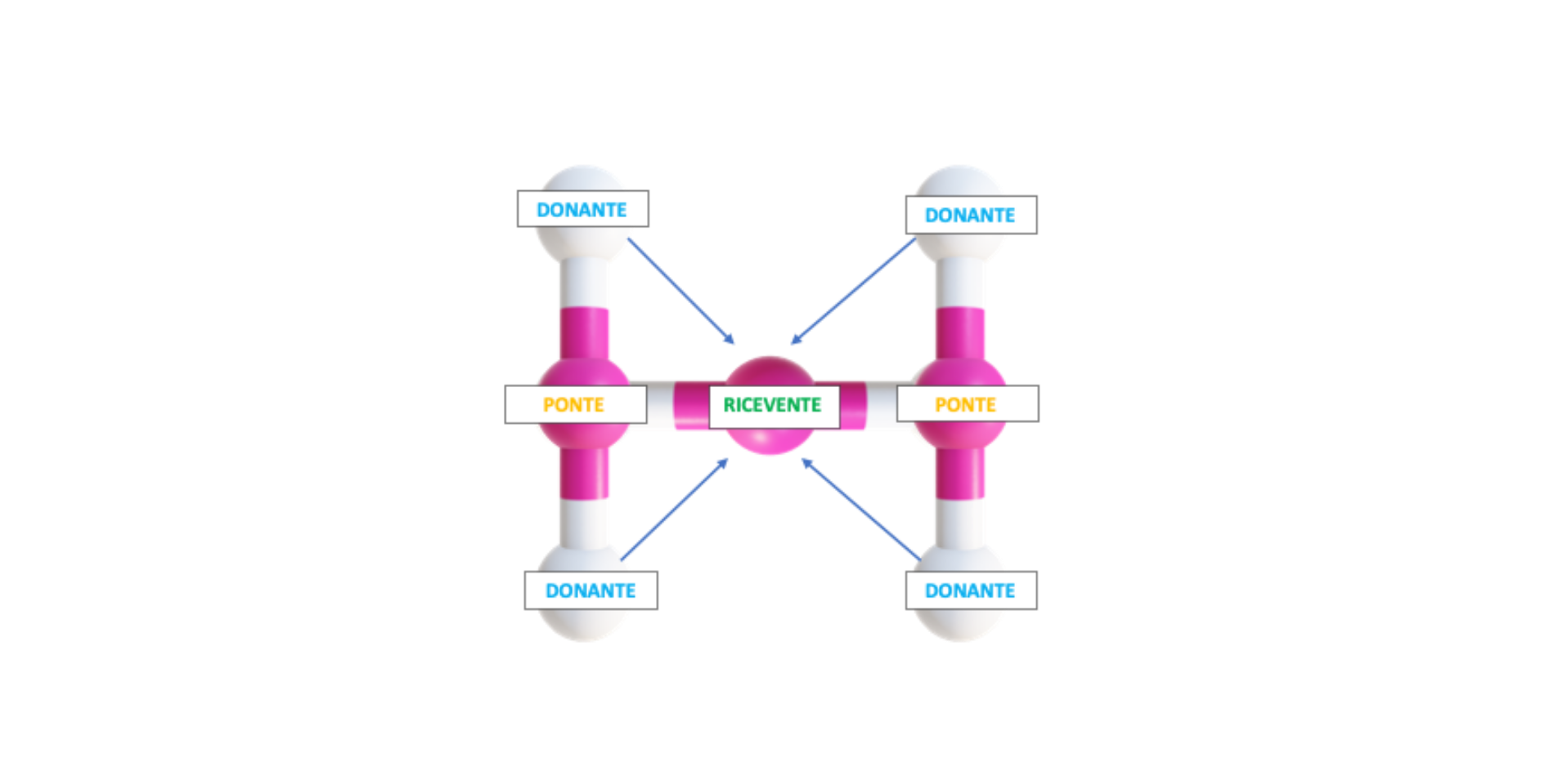Molecola ROG - Economia del Dono
